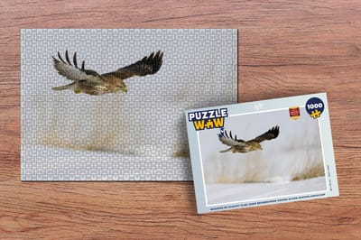 Puzzel Buizerd in vlucht vlak over besneeuwde grond in een winterlandschap - Legpuzzel - Puzzel 1000 stukjes volwassenen