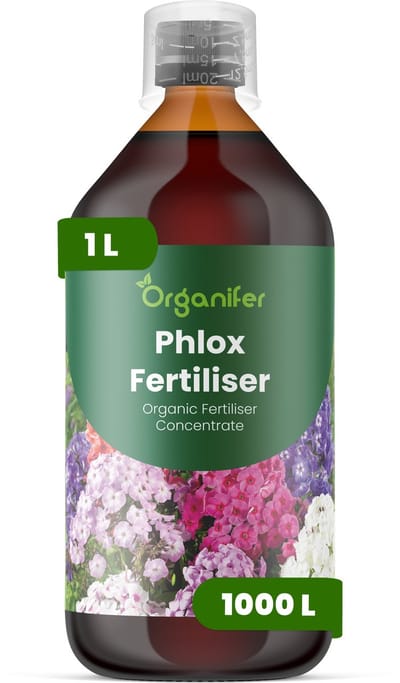 Vloeibare Meststof Voor Phlox 1 L Voor 1000 L - Npk 2-1-8 - Geschikt Voor Meerjarige En Eenjarige Vlambloemsoorten - Ondersteunt Herstel Na Snoeien - Bevordert Een Uitbundige Bloei En Levendige Bloemkleur - Organifer