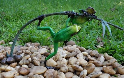 Groene regenwoudkikkers op tak MASSIEF BRONS 20 cm hoog - bronzen beeld - tuinbeeld - hoogkwalitatief brons - decoratiefiguur - interieur - accessoire - voor binnen - voor buiten - cadeau - geschenk - Kerst - Nieuwjaar