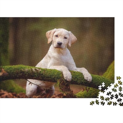 Gepersonaliseerde Puzzel - Foto Puzzel - Ontspanning Thuis - Hoge Kwaliteit Karton - 75 x 50 cm