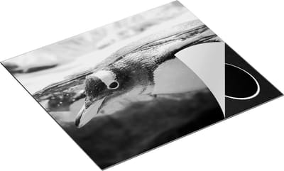 Chefcare Inductie Beschermer Pinguïn Zwemt onder Water - Zwart Wit - 60x50 cm - Afdekplaat Inductie - Kookplaat Beschermer - Inductie Mat