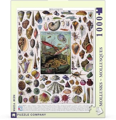 Mollusken Puzzel - Puzzelen met Zeedieren