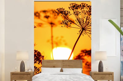Behang - Fotobehang Planten - Bloemen - Zonsondergang - Oranje - Breedte 155 cm x hoogte 240 cm