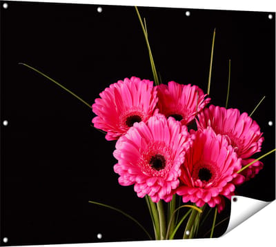 Gards Tuinposter Roze Gerbera Bloemen - 120x90 cm - Tuindoek - Tuindecoratie - Wanddecoratie buiten - Tuinschilderij