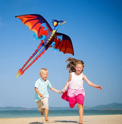 Enorme Draken Vlieger voor Kinderen en Volwassenen - Ideaal voor Buiten, Buitenspellen en Activiteitenspeelgoed