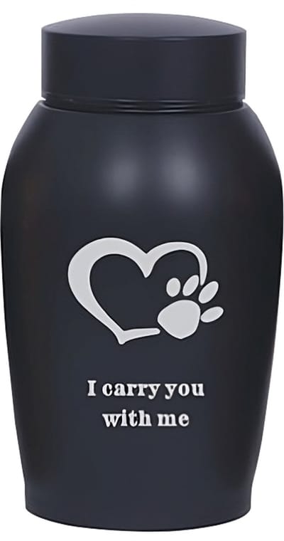 Professionele Begrafenis Urn - 1000 ML - Urn - Mini Crematie Urn - As Urn - Voor Huisdieren, Honden, Katten of Menselijk As - Crematie As - Mini Urn - I Carry You With Me