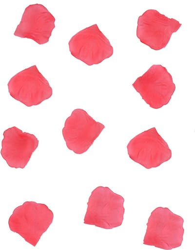 """rozenblaadjes in a bag, licht roze (1 zakje met 100 stuks)"""