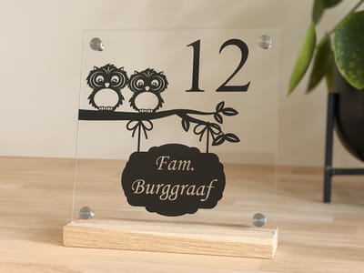 Naambordje met uiltjes | Huisnummerbord voordeur | huisnummer | uil met uithangbord | Helder | 20x20cm | RVS afstandhouders