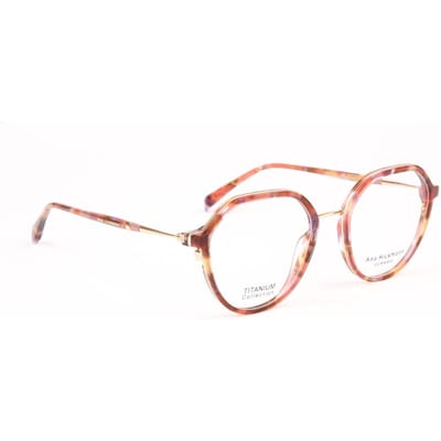 Ana Hickmann Optical Frame AH1554T G22 52 Titanium