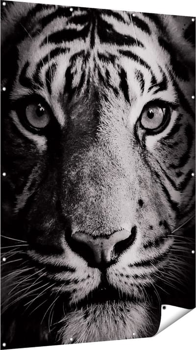 Gards Tuinposter Tijgerkop - Tijger - Zwart Wit - 120x180 cm - Tuindoek - Tuindecoratie - Wanddecoratie buiten - Tuinschilderij