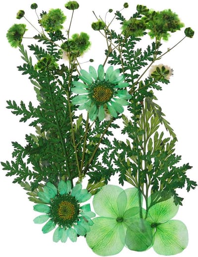 Gedroogde Geperste Bloemen en Bladeren voor Knutselen, Kaarten Maken en Hars Kunst