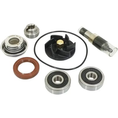 Reparatieset Top Performances Piaggio 250-300 MP3-vespa