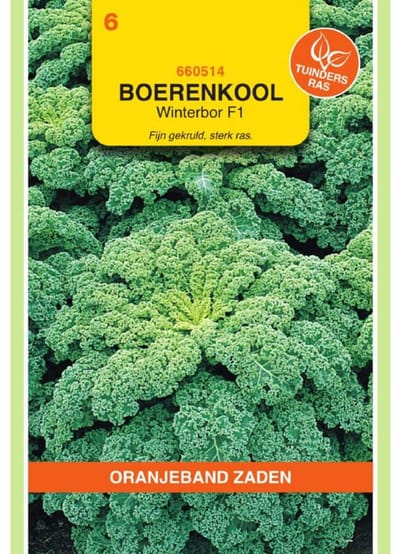 Boerenkool Winterbor Reflex F1