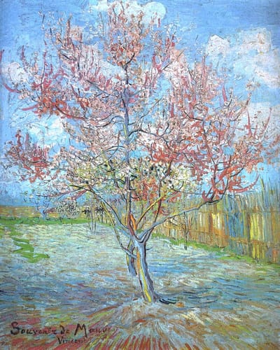 VDTOYS® DIAMOND PAINTING volwassenen - VDTC220 - vierkante steentjes - full - groot formaat - nieuwe tekeningen - 45 op 55 cm (canvas) - 40 op 50 (foto)
