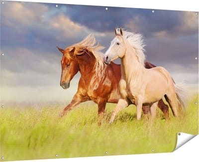Gards Tuinposter Bruin en Wit Paard in de Wei - 180x120 cm - Tuindoek - Tuindecoratie - Wanddecoratie buiten - Tuinschilderij
