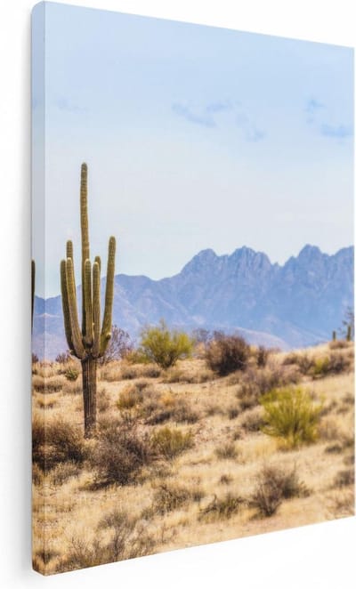 Artaza Canvas Schilderij Cactus - 30x40 cm - Klein - Wanddecoratie Woestijn - Muurdecoratie Amerika - Schilderijen Op Canvas Bergen