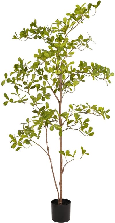 Fleurdirect Kunstplant Terminalia - Kunststof - Groen - 100 x 145 x 100 cm (BxHxD)