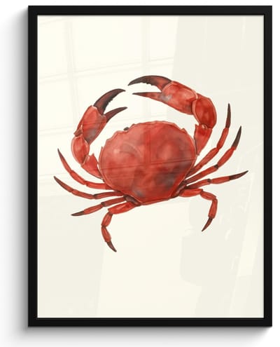 Poster in lijst - Fotolijst 50x70 cm - Posters - Krab - Felrood - Poten - Posterlijst zwart - Decoratie - Wanddecoratie woonkamer - Muurdecoratie slaapkamer