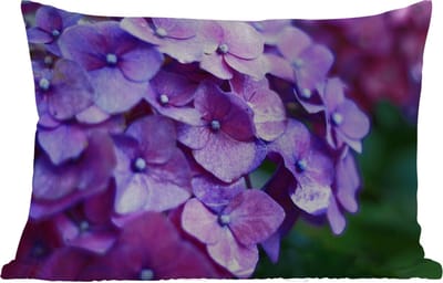 Buitenkussens - Tuin - Bloemen - Paars - Hortensia - Natuur - Bloemblaadjes - 50x30 cm