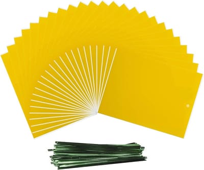 Geel Vliegenvanger Stickers - 24 Stuks Dubbelzijdige Kleefvallen voor Insecten