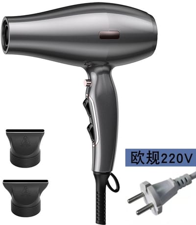 Fohn - 2000 W 220 V - koude en warme lucht met 3 snelheden - voor thuis, studentenkamer en salon - met concentratormondstuk en geschenkverpakking