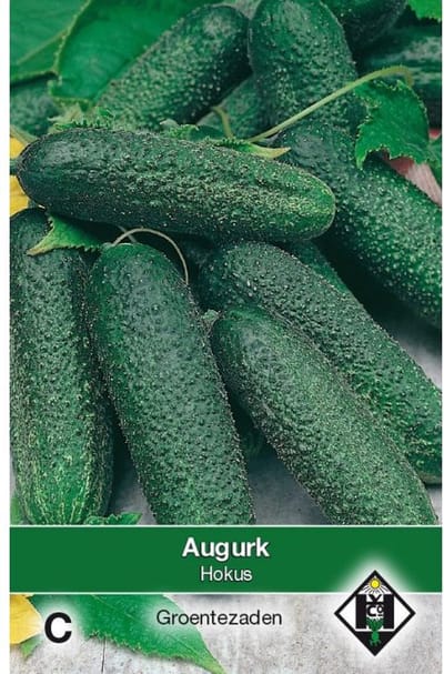 Van Hemert Zaden - Augurk Hokus