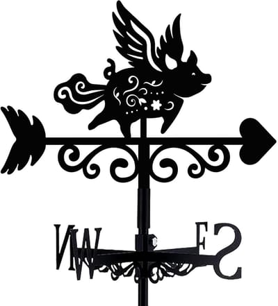 Windwijzer - smeedijzeren windwijzer - decoratief - weerbestendig - geschikt voor tuinen en daken-FXB24