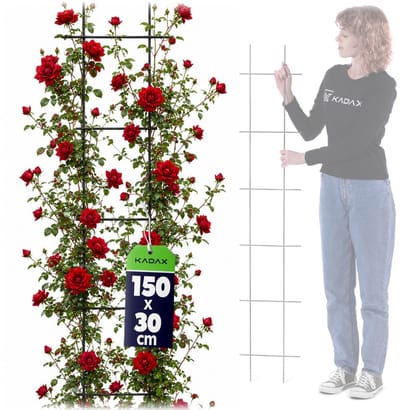 KADAX Trellis hekwerk voor tuin, planten, balkon, terras, metalen hekwerk, klimhulp, klimrooster van staal, klimhulp, rozentraliek, plantenrooster (30 x 150 cm)