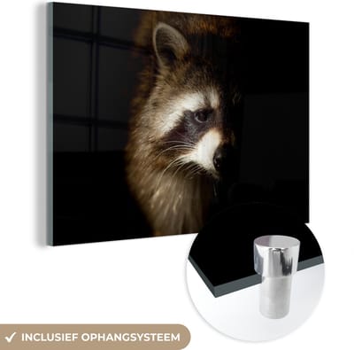 MuchoWow® Glasschilderij 150x100 cm - Schilderij acrylglas - Wasbeer - Wilde dieren - Zwart - Foto op glas - Schilderijen