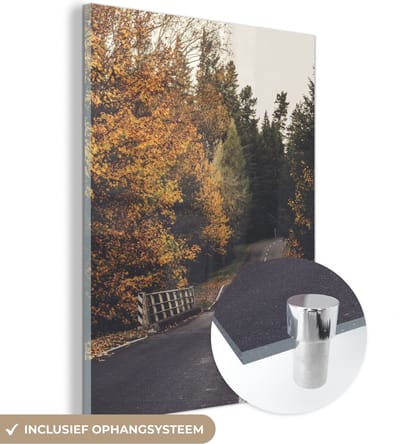 MuchoWow® Glasschilderij 30x40 cm - Schilderij acrylglas - Bomen - Weg - Herfst - Foto op glas - Schilderijen