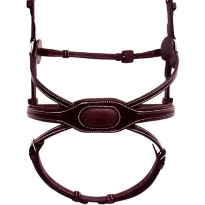 Paardenneusriem Silver Crown Spider