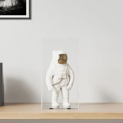 vidaXL - Displaybox - transparant - 20x20x38 - cm - acryl