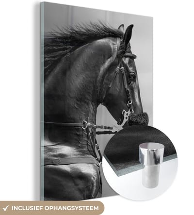 MuchoWow® Glasschilderij 60x80 cm - Schilderij acrylglas - Paarden - Zwart - Portret - Dieren - Foto op glas - Schilderijen