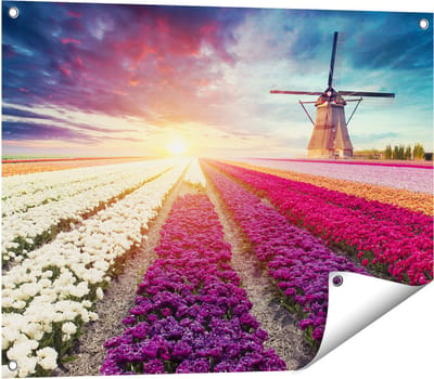 Gards Tuinposter Kleurrijke Tulpen Bloemenveld - Windmolen - 80x60 cm - Tuindoek - Tuindecoratie - Wanddecoratie buiten - Tuinschilderij