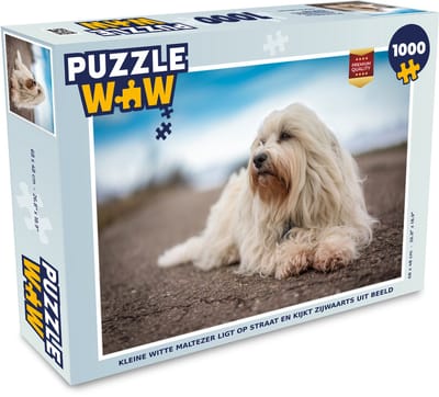 Puzzel Kleine witte Maltezer ligt op straat en kijkt zijwaarts uit beeld - Legpuzzel - Puzzel 1000 stukjes volwassenen