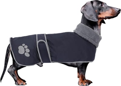 Winterjas voor Honden - Thermisch Gevoerde Dackeljas met Warme Flanellen Voering, Waterdicht en Verstelbare Bandjes voor Buitengebruik - Navy - XS