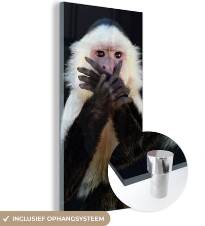 MuchoWow® Glasschilderij 20x40 cm - Schilderij acrylglas - Aap - Wilde dieren - Portret - Foto op glas - Schilderijen