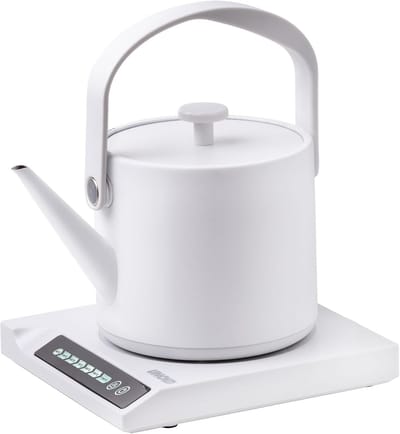 Rvs Waterkoker met Temperatuurinstelling en Warmhoudfunctie