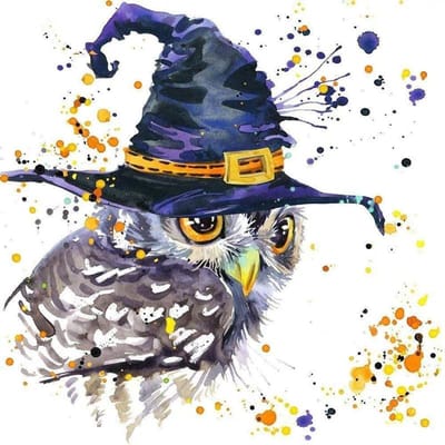 Peinture diamant 5D hibou plein carré diamant mosaïque animal diamant broderie point de croix 20X30CM black