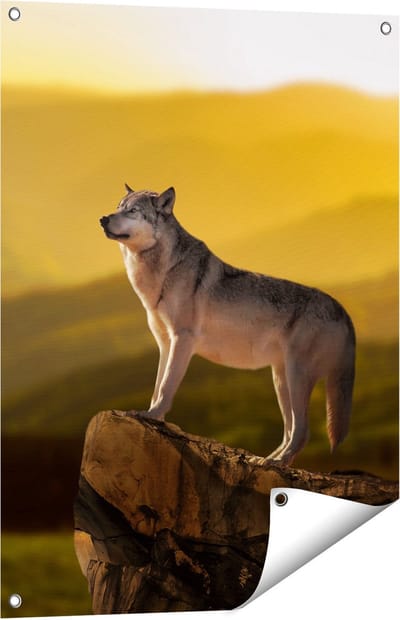 Gards Tuinposter Wolf op een Rots met een Heuvel Landschap - 60x80 cm - Tuindoek - Tuindecoratie - Wanddecoratie buiten - Tuinschilderij