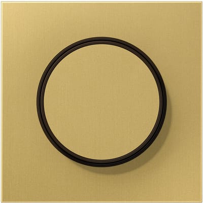 Jung LS Bereik Classic Messing Dimmer Afdekking Plaat - ME1740C