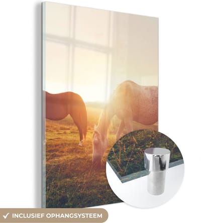 MuchoWow® Glasschilderij 30x40 cm - Schilderij acrylglas - Paarden - Zon - Dieren - Foto op glas - Schilderijen