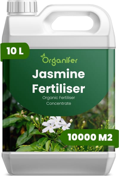 Vloeibare Meststof Voor Jasmine 10 L Voor 10000 M2 - Npk 2-1-8 - Overvloedige - Geurende Bloei Bij Alle - Jasmijnsoorten - Rankgroei - Vertakking - Structurele Stabiliteit - Glanzend Blad - Intense Kleur - Siergroei - Organifer