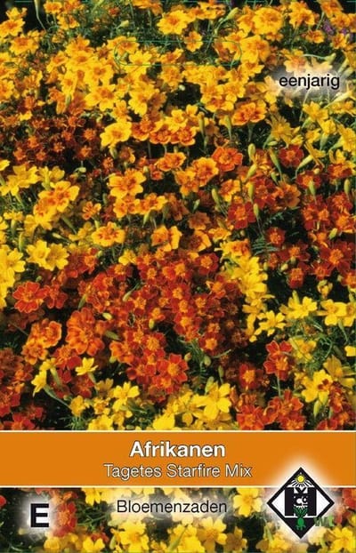 Van Hemert & Co - Randjesafrikaan Starfire Mix (Tagetes tenuifolia)