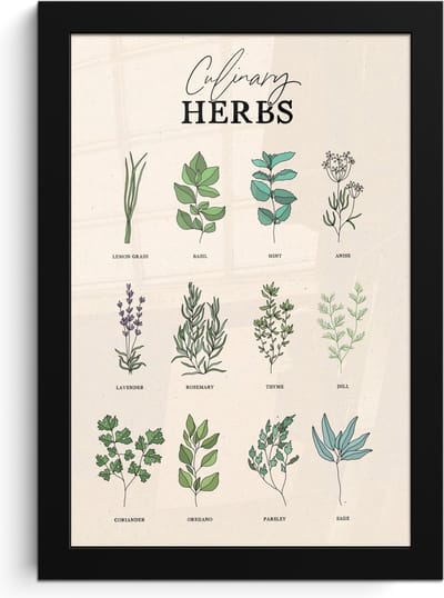 Fotolijst inclusief poster - Posterlijst 20x30 cm - Posters - Kruiden - Planten - Herbs - Groen - Vintage - Foto in lijst - Keuken decoratie muur - Wanddecoratie accessoires - Muurdecoratie - Schilderijen
