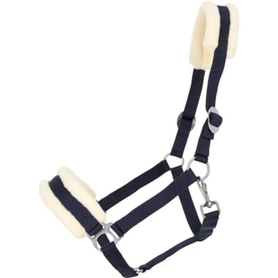 Halster voor paarden Q-essentials Cali