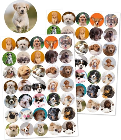 Puppy Stickers - 3 Stickervellen Puppy's - 105 Hondenstickers - Stickers voor Kinderen