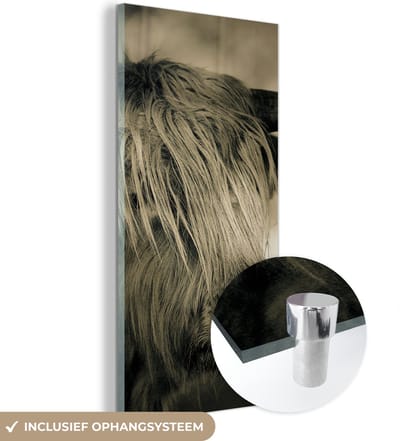 MuchoWow® Glasschilderij 20x40 cm - Schilderij acrylglas - Schotse Hooglander - Dieren - Haar - Foto op glas - Schilderijen