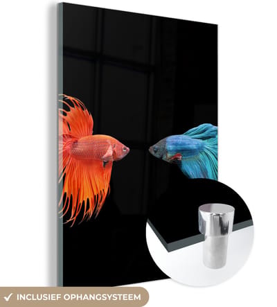 MuchoWow® Glasschilderij 120x160 cm - Schilderij acrylglas - Vis - Wilde dieren - Zwart - Foto op glas - Schilderijen