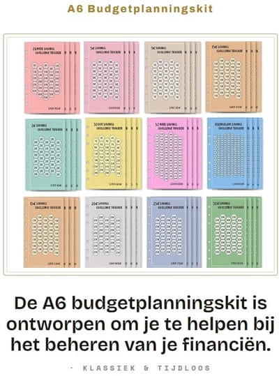 Dailygoods- Huishoudplanner A6 - Budget Planner met 48 Vellen - Geldbesparingsuitdagingen - Spaarplanner - Budgetplanningsaccessoires - Financieel Beheer - Budgetplanner